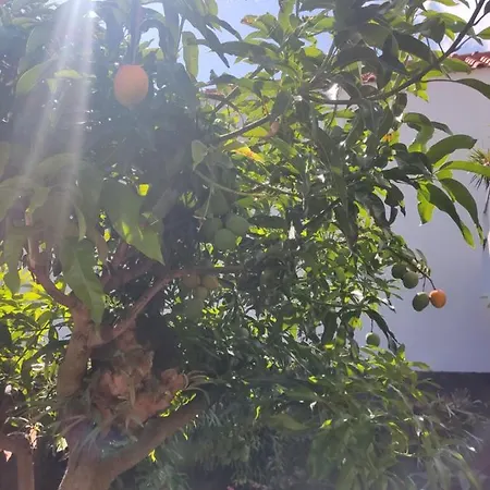 Feriehus Peaceful Place In *